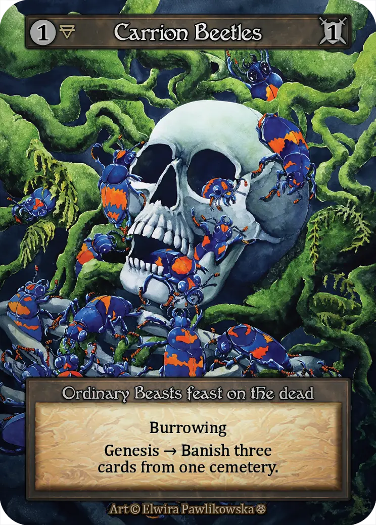 Carrion Beetles-Gothic